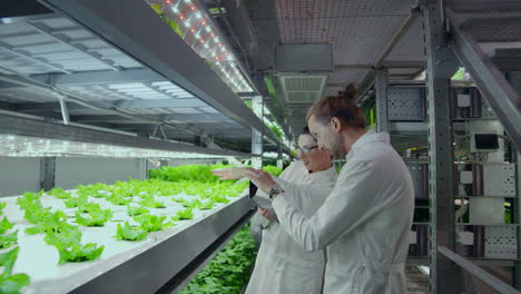 A-group-of-scientists-using-modern-technology-to-monitor-the-growth-of-healthy-vegetables-on-an-automated-vertical-farm-with-hydroponics-system.-To-analyze-the-growth-of-plants-by-studying-the-composition-and-contributing-data-to-the-shared