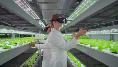 Scientists-in-white-coats-don't-use-virtual-reality-glasses-on-a-hydroponics-farm-to-control-watering.-Geneticists-analyze-the-composition-of-vegetables-growing-on-plantations