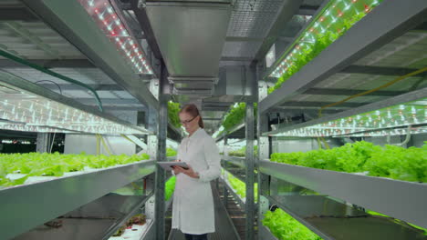 the-reverse-movement-of-the-camera-along-the-corridor-a-modern-farm-scientists-in-white-coats-inspect-touch-the-green-plants.-the-concept-of-modern-agriculture-vegetable-growing-the-future-genetically-modified-products