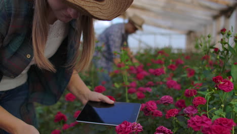 A-woman-with-a-tablet-examines-the-flowers-and-presses-her-fingers-on-the-tablet-screen.-Flower-farming-business-checking-flowers-in-greenhouse