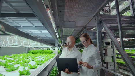 Group-of-modern-scientists-biotechnology-scientist-in-white-suit-with-tablet-for-working-organic-hydroponic-vegetable-garden-at-greenhouse