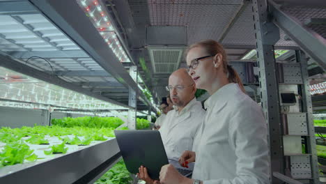 Modern-scientists-are-engaged-in-the-development-of-healthy-food-production-by-growing-them-in-vertical-automated-farms.-Analysis-of-data-using-a-laptop-and-tablet-computer