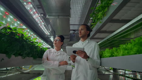Scientists-in-white-coats-with-a-laptop-go-along-the-corridor-of-the-farm-with-hydroponics-and-discuss-the-results-of-gene-studies-on-plants.-Look-at-the-samples