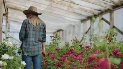 Back-view-Young-woman-farmer-walks-in-a-flower-greenhouse-and-examines-the-grown-roses-flower-business