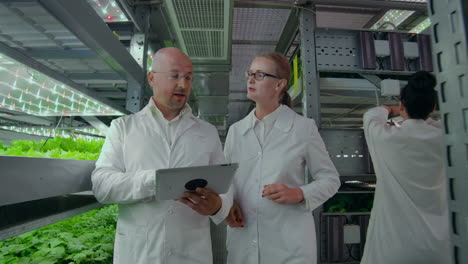 Scientists-in-white-coats-with-a-laptop-go-along-the-corridor-of-the-farm-with-hydroponics-and-discuss-the-results-of-gene-studies-on-plants.-Look-at-the-samples