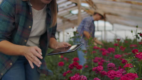 Close-up-tablet-in-the-hand-of-a-woman-florist-in-a-greenhouse-growing-roses-in-slow-motion.-Small-business.