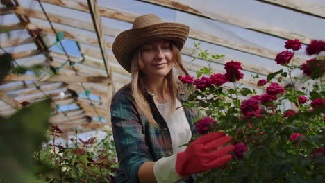 Beautiful-female-florist-in-apron-and-pink-gloves-standing-and-happily-working-with-flowers-in-greenhouse.