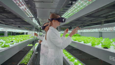 The-use-of-virtual-reality-glasses-in-a-modern-farm-scientists-lead-the-process-of-genetic-modification-of-plants.