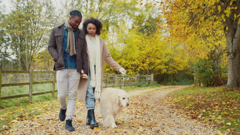 Couple-walking-with-pet-golden-retriever-through-autumn-countryside-together---shot-in-slow-motion