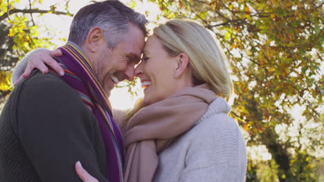 Profile-shot-of-loving-mature-couple-hugging-in-autumn-countryside-with-flaring-sun---shot-in-slow-motion