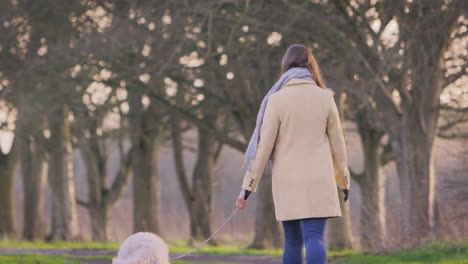 Rear-View-Of-Woman-With-Prosthetic-Hand-Walking-Pet-Dog-Through-Winter-Or-Autumn-Countryside
