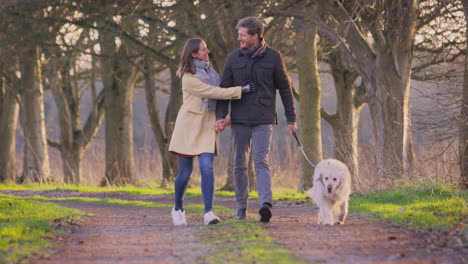 Couple-With-Woman-With-Prosthetic-Hand-Walking-Pet-Dog-Through-Winter-Or-Autumn-Countryside