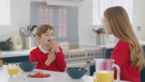 Brother-And-Sister-Wearing-School-Uniform-In-Kitchen-Have-Fun-Hanging-Spoon-From-Nose-At-Breakfast