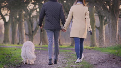 Rear-View-Of-Couple-With-Woman-With-Prosthetic-Hand-Walking-Pet-Dog-Through-Winter-Countryside