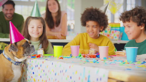 Pet-Dog-Wearing-Party-Hat-Sitting-At-Birthday-Party-Table-With-Children-And-Parents