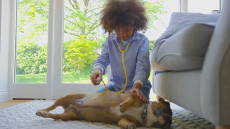 Niño-Pretendiendo-Ser-Veterinario-En-Casa-Examinando-Mascota-Bulldog-Francés-Con-Estetoscopio