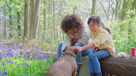 Two-Children-Walking-Pet-Dog-Through-Bluebell-Woods-In-Springtime-Taking-A-Break-Sitting-On-Log