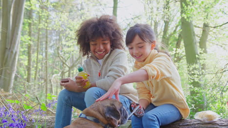 Zwei-Kinder-Gehen-Im-Frühling-Mit-Ihrem-Hund-Durch-Den-Bluebell-Wald-Und-Machen-Eine-Pause-Auf-Einem-Baumstamm