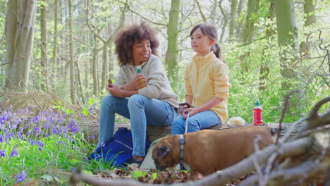 Two-Children-Walking-Pet-Dog-Through-Bluebell-Woods-In-Springtime-Taking-A-Break-Sitting-On-Log