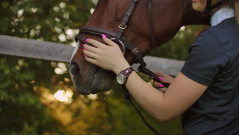 Girl-is-enjoying-her-time-with-a-horse-before-training.-She-is-stroking-the-horse-and-sharing-her-good-mood-with-the-friend