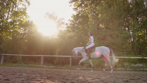 This-is-the-best-moment-of-horse-riding-training-for-women.-She-demonstrates-galloping-skills-with-her-horse.