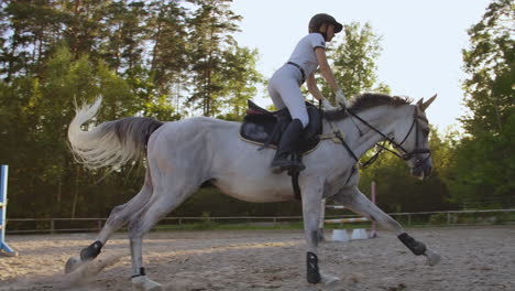 The-girl-is-engaged-in-show-jumping-and-horseback-riding.-She-demonstrates-professional-skills-in-the-hurdle-race-with-a-horse.