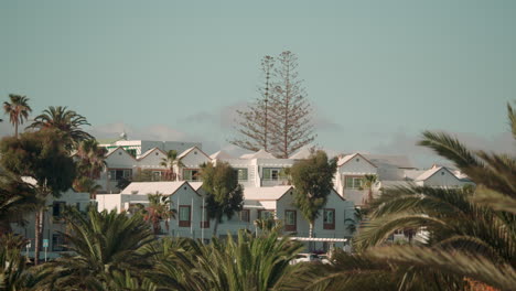White-houses-amid-lush-palm-trees