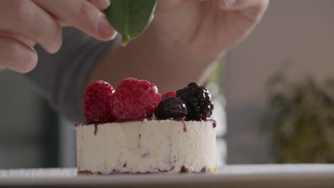 Presentation-of-ice-cream-cake-with-berries