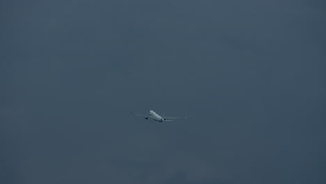Ein-Flugzeug-Am-Grauen-Himmel