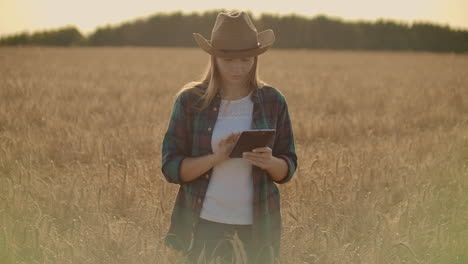 A-woman-farmer-in-a-shirt-and-jeans-goes-with-a-tablet-in-a-field-with-rye-touches-the-spikelets-and-presses-her-finger-on-the-screen-at-sunset.-Dolly-movement