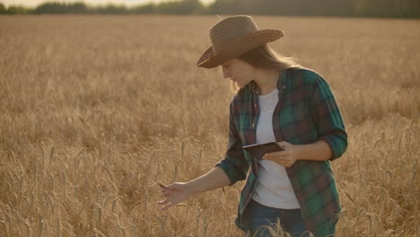Young-woman-farmer-working-with-tablet-in-field-at-sunset.-The-owner-of-a-small-business-concept.