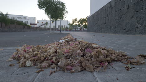 Straße-Mit-Trockenen-Blättern-Und-Müll