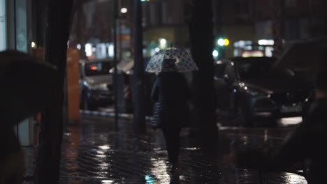Wet-evening-street-with-walking-people