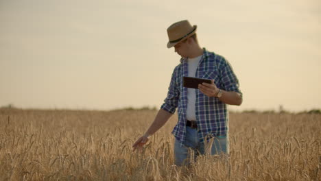 Young-male-farmer-holding-tablet-in-wheat-field