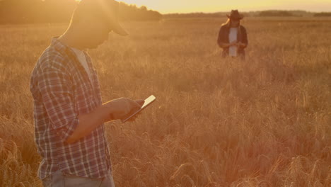 Smart-farming-using-modern-technologies-in-agriculture.-Man-agronomist-farmer-with-digital-tablet-computer-in-wheat-field-using-apps-and-internet-selective-focus