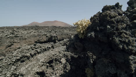 Graue-Und-Trübe-Landschaft-Mit-Lavafelsen-Lanzarote-Kanarische-Inseln