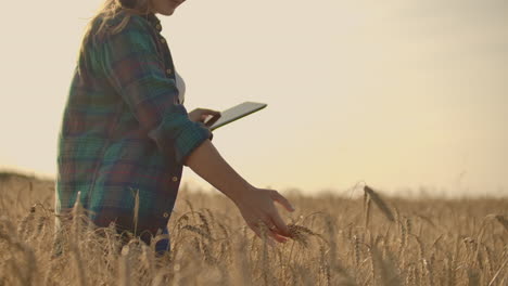 A-woman-farmer-with-tablet.-Smart-farming-and-digital-agriculture.