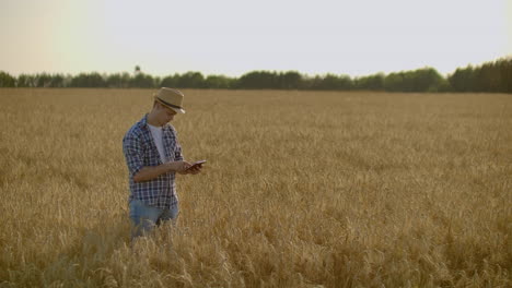 Stylish-old-caucasian-farmer-walking-in-the-golden-wheat-field-on-his-farm-during-the-morning-sunrise
