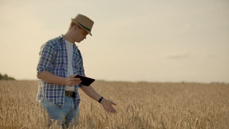 A-man-in-a-hat-and-jeans-with-a-tablet-in-cancer-touches-and-looks-at-the-sprouts-of-rye-and-barley-examines-the-seeds-and-presses-his-finger-on-the-touchscreen-at-sunset.