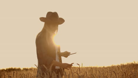 a-woman-farmer-in-a-hat-and-a-plaid-shirt-touches-the-sprouts-and-seeds-of-rye-examines-and-enters-data-into-the-tablet-computer-is-in-the-field-at-sunset.