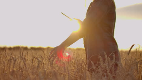 Young-girl-farmer-in-plaid-shirt-in-wheat-field-on-sunset-background.-The-girl-uses-a-tablet-plans-to-harvest.