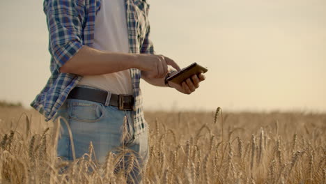 Young-male-farmer-holding-tablet-in-wheat-field