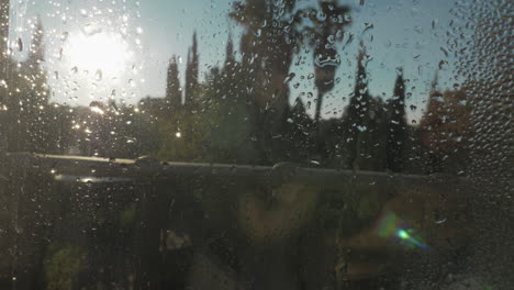 Morning-condensation-on-the-glass