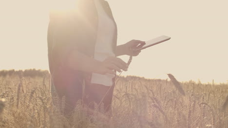 Young-woman-farmer-working-with-tablet-in-field-at-sunset.-The-owner-of-a-small-business-concept.