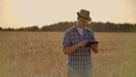 Farmer-using-tablet-in-wheat-field.-Scientist-working-in-field-with-agriculture-technology.-Close-up-of-man-hand-touching-tablet-pc-in-wheat-stalks.-Agronomist-researching-wheat-ears