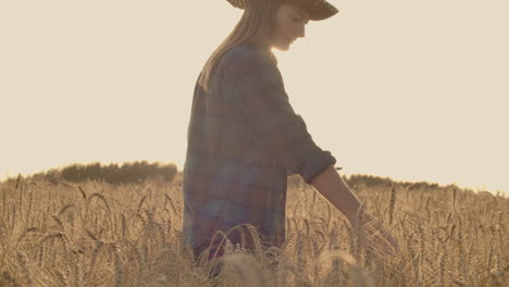 Young-woman-farmer-in-wheat-field-on-sunset-background.-A-girl-plucks-wheat-spikes-then-uses-a-tablet.-The-farmer-is-preparing-to-harvest