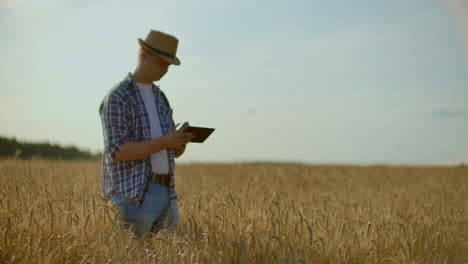 A-young-farmer-with-a-tablet-in-a-hat-in-a-field-of-rye-touches-the-grain-and-looks-at-the-sprouts-and-presses-his-fingers-on-the-computer-screen
