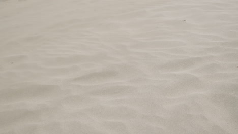 Welliger,-Windgepeitschter-Sand