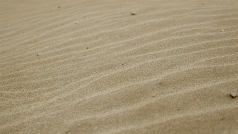 Natural-wave-pattern-on-dune-sand