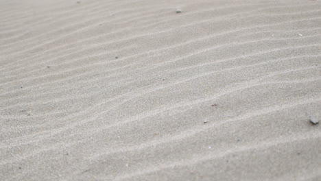 Natürliches-Wellenmuster-Auf-Dünensand
